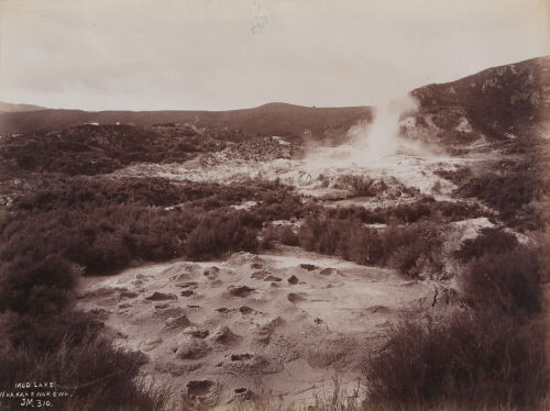 UNKNOWN PHOTOGRAPHER Mud Lake, Whakarewarewa