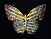 JEFF THOMSON Butterfly