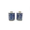 A Pair of Chinese Blue and White 'Dragon' Hexagonal Jars