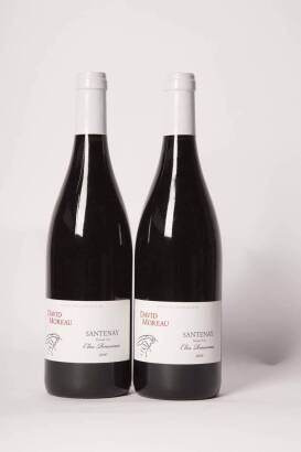 (2) 2010 David Moreau Santenay 1er Cru Clos Rousseau, Cote de Beaune