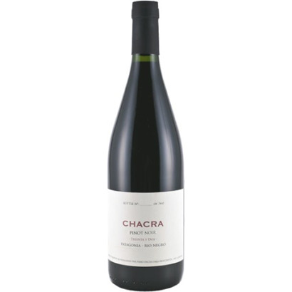(1) 2009 Bodega Chacra 1932 Pinot Noir