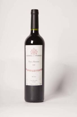 (1) 2009 Achaval Ferrer Finca Altamira Malbec, Mendoza Argentina
