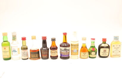 (1) Twelve Assorted Miniatures Sold as One Lot