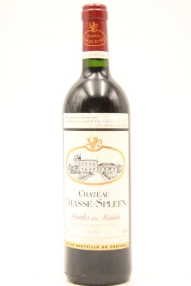 (1) 2002 Chateau Chasse-Spleen, Moulis-en-Medoc