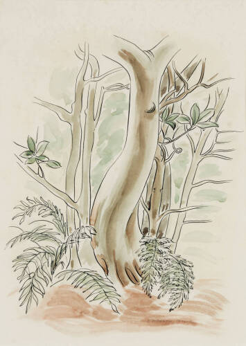 E. MERVYN TAYLOR Tree Study