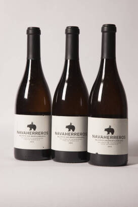 (3) 2010&nbsp;Bernabeleva Navaherreros Blanco, Madrid Spain