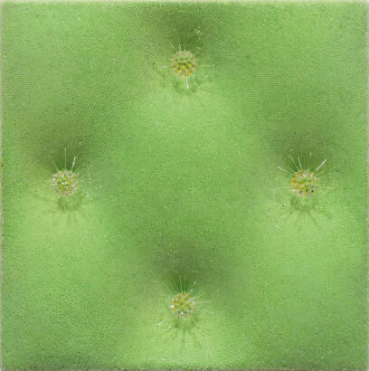 ELIZABETH THOMSON Another Green World VI