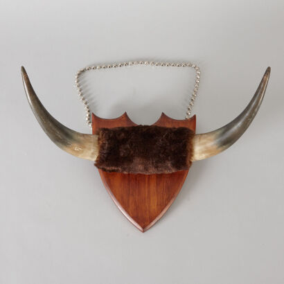 A Mounted Set of Buffalo Horns