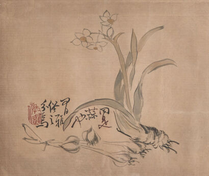 A Chinese Painting of Daffodil