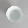 A Chinese Underglaze-red and Blue 'Prunus and Pine' Bowl (Da Qing Qianlong Nian Zhi Mark) - 2