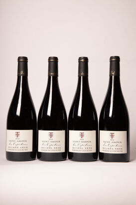 (4) 2013 Domaine du Clos du Fief Saint-Amour Les Capitans, Beaujolais