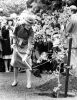 Tree Planting, Masterton