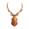 A Large and Impressive 10 Point Stag Head