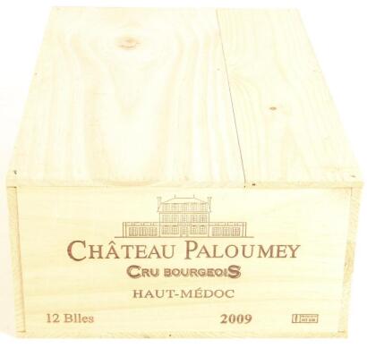 (12) 2009 Chateau Paloumey, Haut-Medoc (OWC)