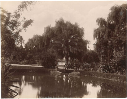 HENRY KING Sydney: Partie aus dem botanischen Garten (Teich und Brucke) (Lake and Bridge, Botanic Gardens, Sydney)