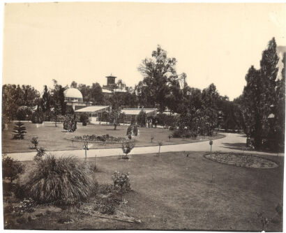 PHOTOGRAPHER UNKNOWN Adelaide: Partie aus dem botanischen Garten (Botanic Gardens, Hot houses and Observatory, Adelaide)