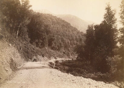 FRANK COXHEAD Hokitika Road