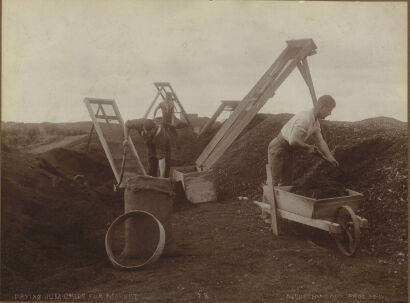 ARTHUR NORTHWOOD Drying Gum Chips for Market