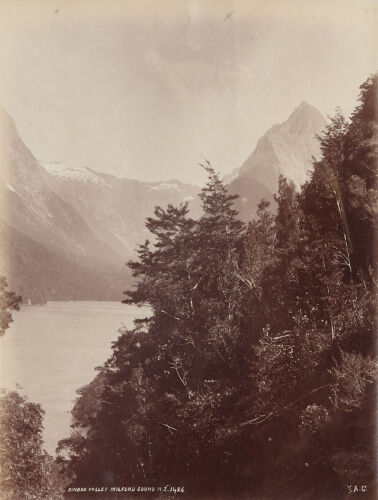 FRANK ARNOLD COXHEAD Sinbad Valley, Milford Sound