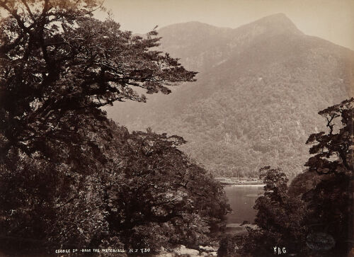 FRANK ARNOLD COXHEAD View of George Sound from the Waterfall