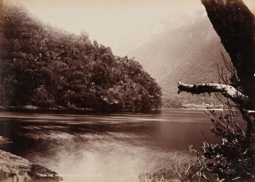 FRANK ARNOLD COXHEAD From the Waterfall, George Sound