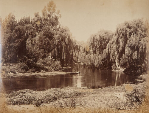 PHOTOGRAPHER UNKNOWN The Avon, Chch