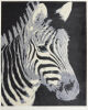 REUBEN PATTERSON Zebra