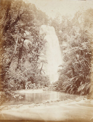 PHOTOGRAPHER UNKNOWN Waitakere Falls, 365 Feet High