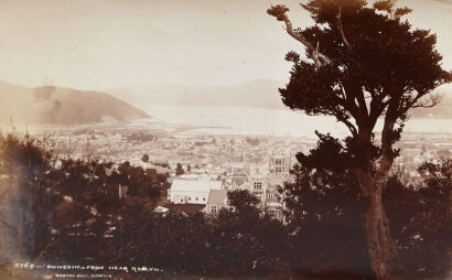 BURTON BROS View of Dunedin from Hill Near Roslyn