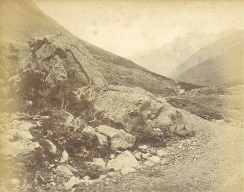 DANIEL MUNDY Summit of Arthurs Pass, Looking East / Headwaters of the Waimakariri River, Christchurch and Hokitika Road, Canterbury Province