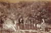 PHOTOGRAPHER UNKNOWN Bathing place, Levuka, Fiji