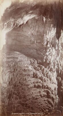 GEORGE DOBSON VALENTINE The Terrace Waitomo Caves Otorohanga