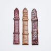 Three Assorted Exotic Leather Cartier Watch Straps