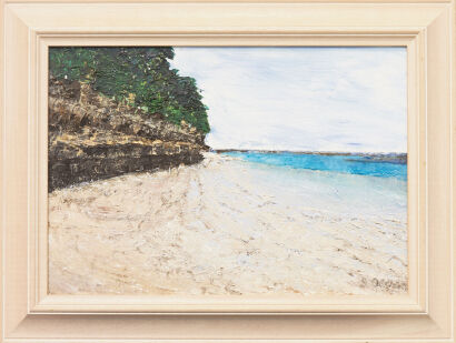 SUSAN OLDHAM Tide and Cliffs Vatulele Fiji