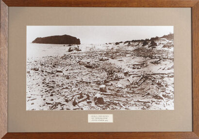 ARTIST UNKNOWN Skulls and Bones Mt. Maunganui After Storm