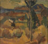 TOSS WOOLLASTON Mapua Landscape