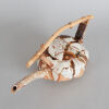 A Ceramic Tea Pot - 2