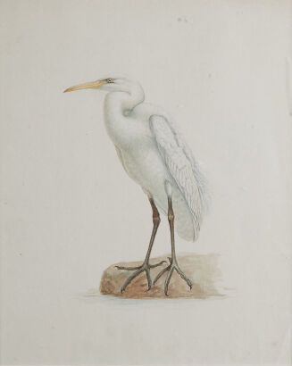 ARTIST UNKNOWN Heron