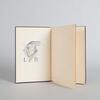 NORMAN LINDSAY, RICHARD OKE, JOHN O'HARA, DJUNA BARNES, DENIS DE ROUGEMONT, WILLIAM MAXWELL Six Titles - 5