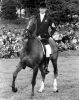 New Zealand horseman and Olympic gold medalist Mark Todd, 1986