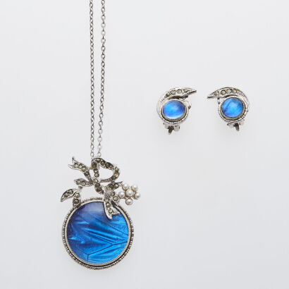 Vintage Butterfly Wings Set