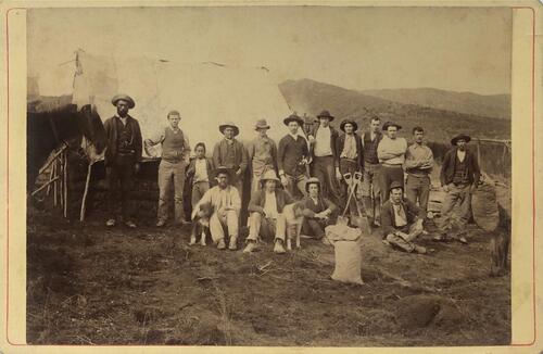 J LOW Kauri Gumdiggers, Auckland