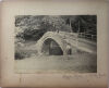 PHOTOGRAPHER UNKNOWN Two Photographs: Native Children Te Aute NZ; Beggars Bridge near Whitby Yorks - 3