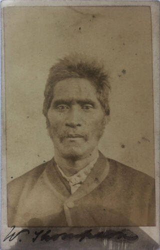 PHOTOGRAPHER UNKNOWN Carte de Visite of Wiremu Tamihana