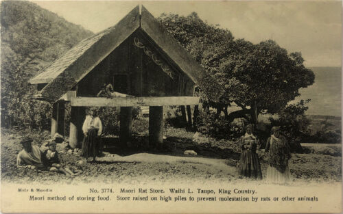 MUIR AND MOODIE Māori Rat Store, Waihi L. Taupō, King Country