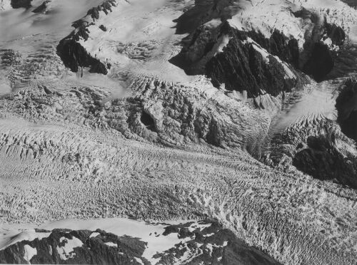 V.C. BROWNE Franz Josef Glacier