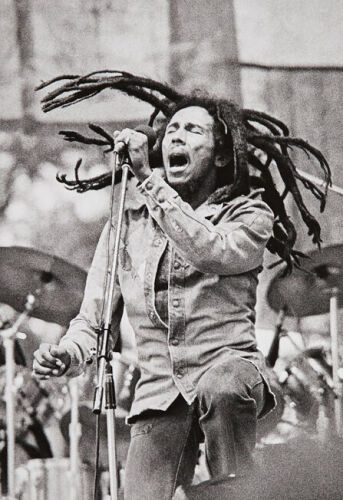 Bob Marley - Western Springs Stadium