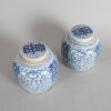 A Pair of Chinese Mid/Late Qing Dynasty Blue and White Lidded Jars - 2