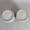 A Pair of Chinese Mid/Late Qing Dynasty Blue and White Lidded Jars - 4