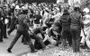 Members of the riot squad move in on protestors outside Eden Park